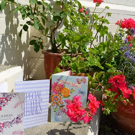 Guest house Holmlea 3*